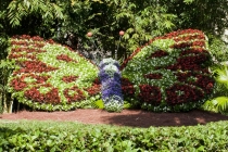 Трансатлантика на HAL Ryndam в нобре 2011, или «Wash your hands thoroughly!»