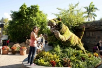 Трансатлантика на HAL Ryndam в нобре 2011, или «Wash your hands thoroughly!»