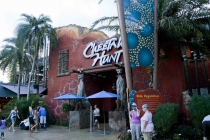 Трансатлантика на HAL Ryndam в нобре 2011, или «Wash your hands thoroughly!»