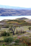 В ожидании патагонского ветра (Аргентина/Чили: Патагония-Oзерный край-Мендоса-Игуасу)