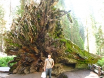 IMG_5784_новый размер.JPG