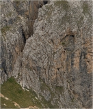 Via Ferrata Tridentina (на стене)