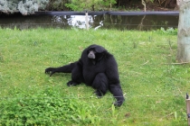 Лиссабон, Кашкайш, Синтра, Алмада, Порто (Февраль 2011)