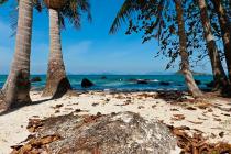 Kohchang11-20