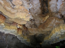 PA153393
