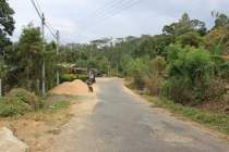 Шри Ланка: 14 дней и 1712 км или учимся водить «мотобайк»