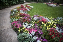 Трансатлантика на HAL Ryndam в нобре 2011, или «Wash your hands thoroughly!»