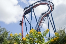 Трансатлантика на HAL Ryndam в нобре 2011, или «Wash your hands thoroughly!»