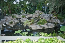 Трансатлантика на HAL Ryndam в нобре 2011, или «Wash your hands thoroughly!» Трансатлантика на HAL Ryndam в нобре 2011, или «Wash your hands thoroughly!»