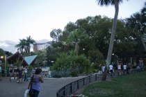 Трансатлантика на HAL Ryndam в нобре 2011, или «Wash your hands thoroughly!» Трансатлантика на HAL Ryndam в нобре 2011, или «Wash your hands thoroughly!»