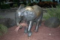 Трансатлантика на HAL Ryndam в нобре 2011, или «Wash your hands thoroughly!» Трансатлантика на HAL Ryndam в нобре 2011, или «Wash your hands thoroughly!»