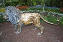 Трансатлантика на HAL Ryndam в нобре 2011, или «Wash your hands thoroughly!»