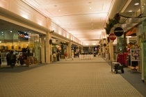 Трансатлантика на HAL Ryndam в нобре 2011, или «Wash your hands thoroughly!»