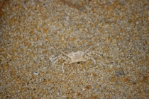 Еще раз про Пхукет