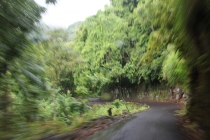 Гавайи (Hawaii, острова: Oahu, Maui, Big Island), апрель 2012, 120 фото