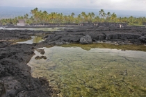 Гавайи (Hawaii, острова: Oahu, Maui, Big Island), апрель 2012, 120 фото