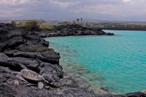 Гавайи (Hawaii, острова: Oahu, Maui, Big Island), апрель 2012, 120 фото