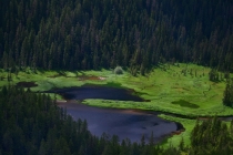 Аляска 2012: медведи и киты Аляска 2012: медведи и киты