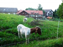 2012, июль и дек. Маленькая Бавария (закоулки Аммергау). Не пастухи, не матадоры мы...