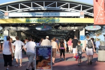 universal