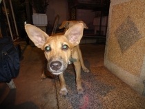 Зарисовки апреля 2012