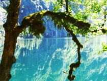 Украина-Германия (июль-август 2012) – почти без галопа (закончен)