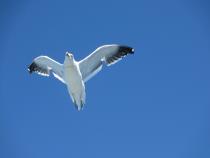 San-Carlos-de-Bariloche