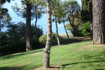 Как я ездил на отдых из Мюнхена в Канны и Монако через Баден-Баден и Швейцарию в июле 2012