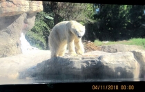 на документы 497