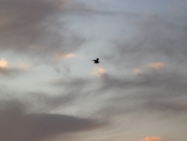 Щелкино - мой райский уголок Крыма.