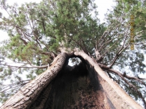 на документы 876