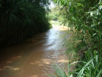 Более 2000 км с юга на север по Вьетнаму.