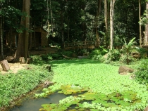 Более 2000 км с юга на север по Вьетнаму.