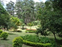 Более 2000 км с юга на север по Вьетнаму.