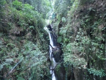 Более 2000 км с юга на север по Вьетнаму.