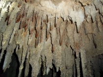 Более 2000 км с юга на север по Вьетнаму.