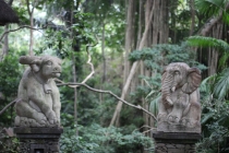 Свадебное путешествие Бали-Гили 2012