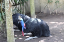 Свадебное путешествие Бали-Гили 2012