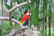 Свадебное путешествие Бали-Гили 2012