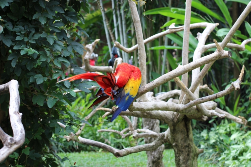 Свадебное путешествие Бали-Гили 2012