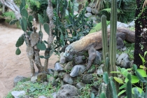 Свадебное путешествие Бали-Гили 2012