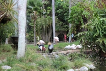 Свадебное путешествие Бали-Гили 2012