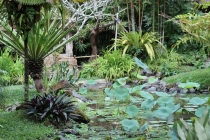 Свадебное путешествие Бали-Гили 2012