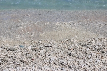 Свадебное путешествие Бали-Гили 2012