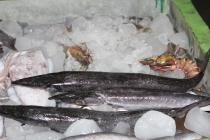 Свадебное путешествие Бали-Гили 2012