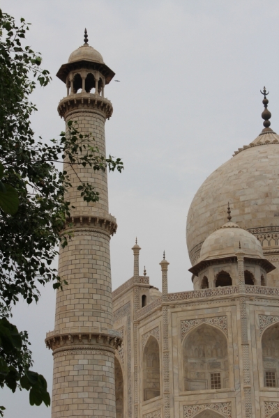 Письма Алисе из Индии