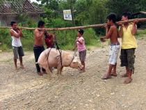 Корон и Эль Нидо, август 2012