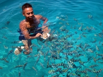 Корон и Эль Нидо, август 2012