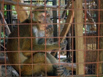 Корон и Эль Нидо, август 2012