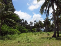 Корон и Эль Нидо, август 2012